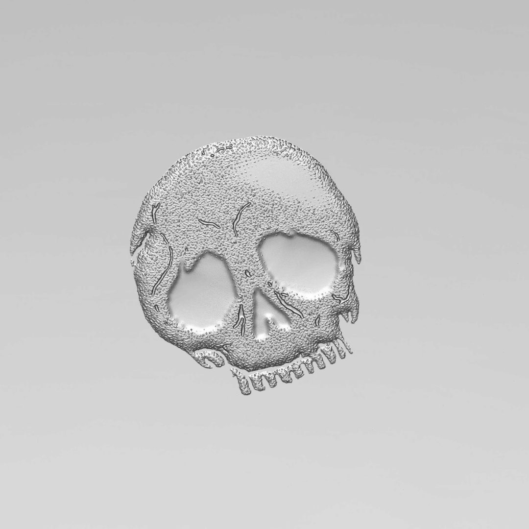 SKULL 3 D View